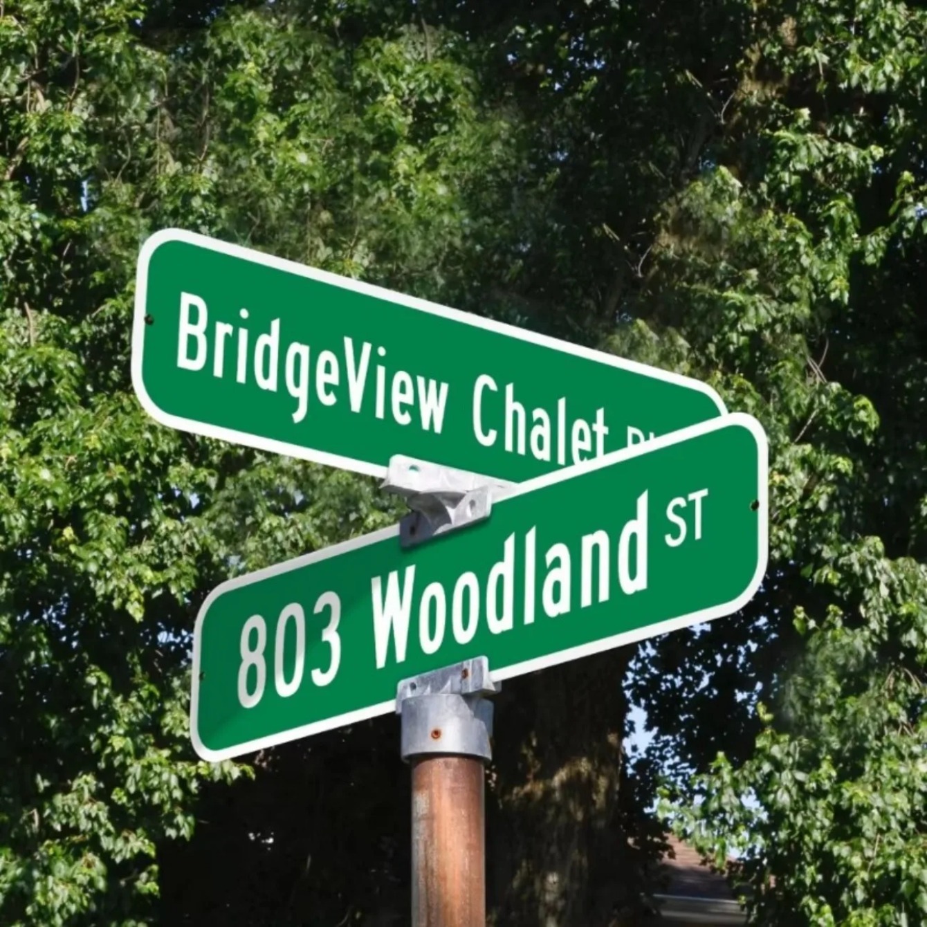 Personalized Green Street Sign - Outdoor Furniture Metal review and price